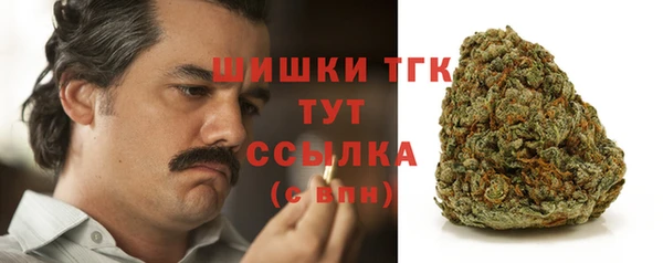 дживик Беломорск