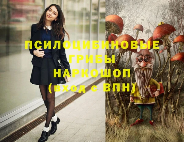 дживик Беломорск