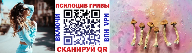 купить   кракен сайт  Галлюциногенные грибы мухоморы  Дно 